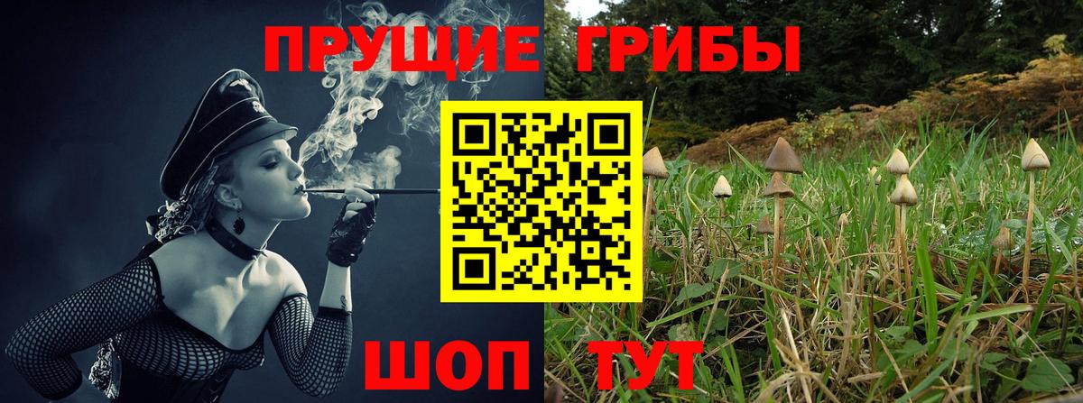 Галлюциногенные грибы Magic Shrooms  Вход с VPN  Кировск 